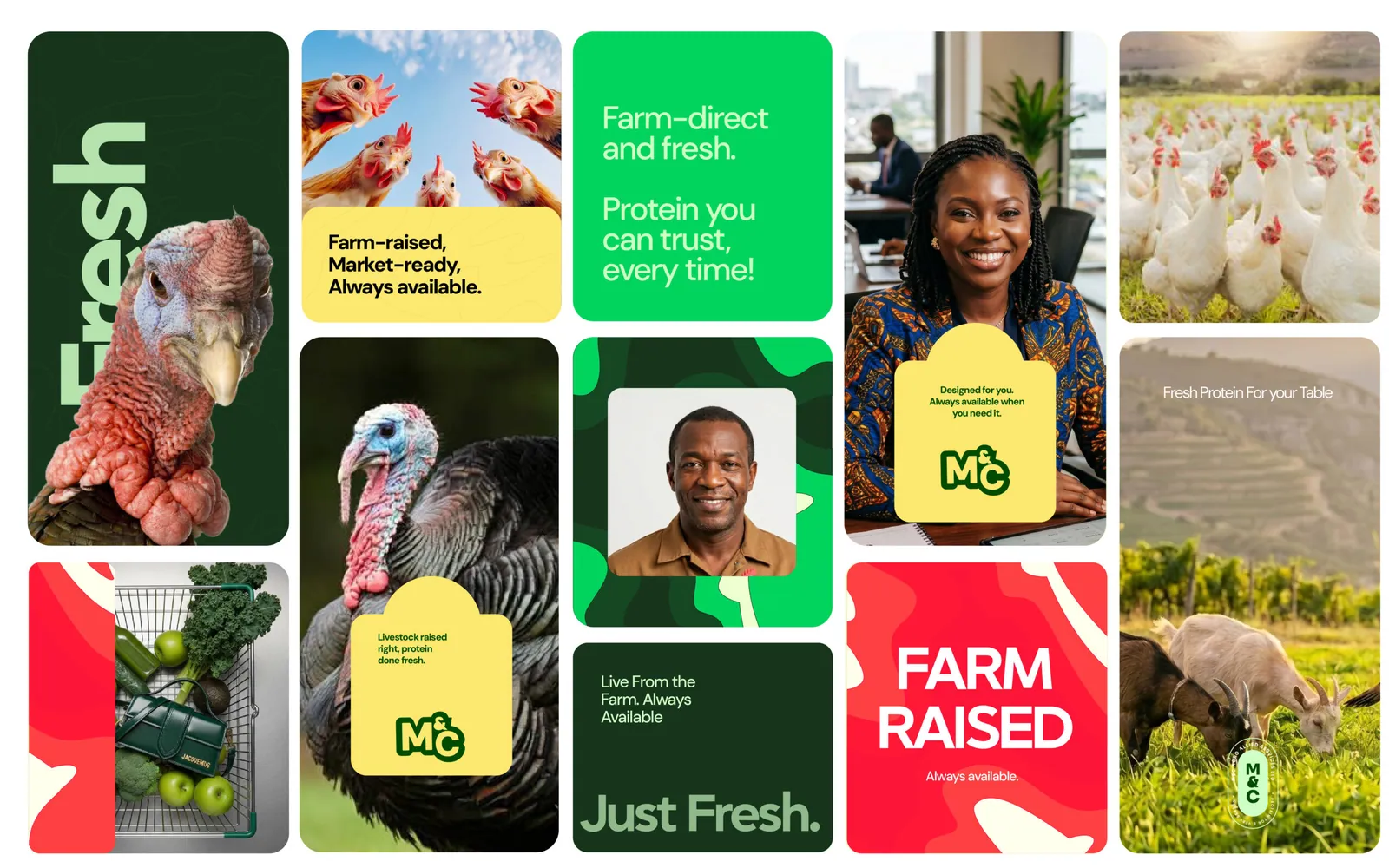 Elegant packaging revealer representing high-trust crop transport.